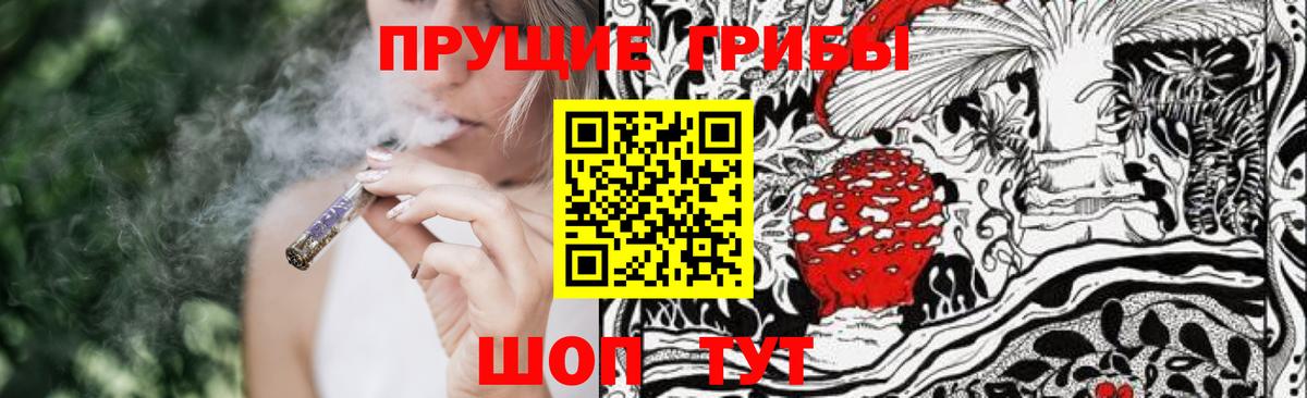 Галлюциногенные грибы Cubensis Зима
